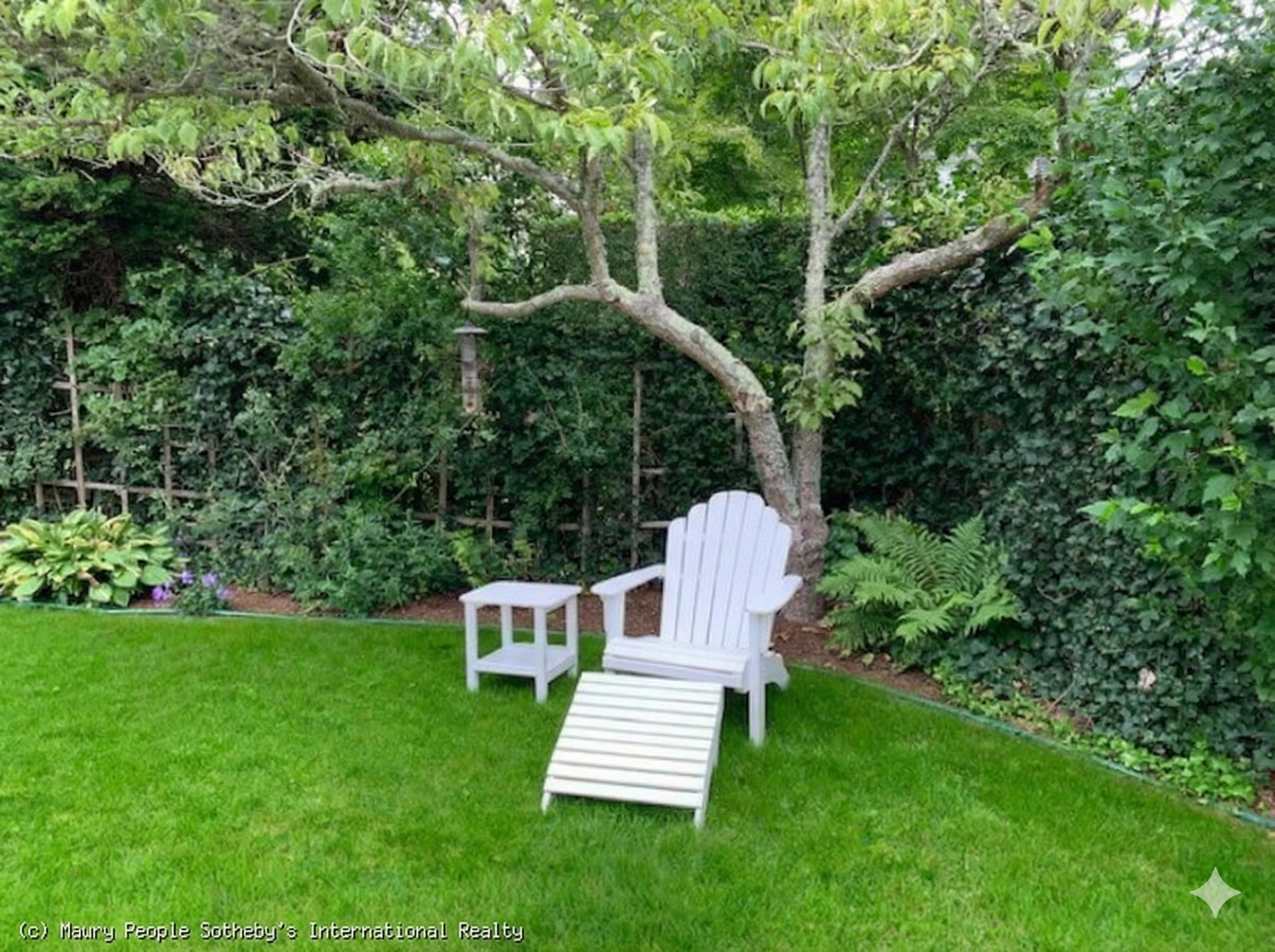 Relax and read a book under a tree